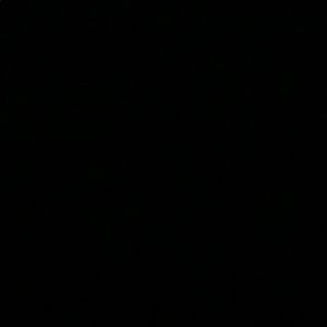 Meet your Posher, Shawn